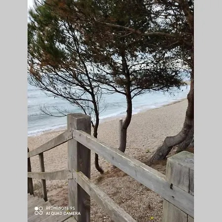 Casa Oliveres Beach En L' Ampolla Holiday home
